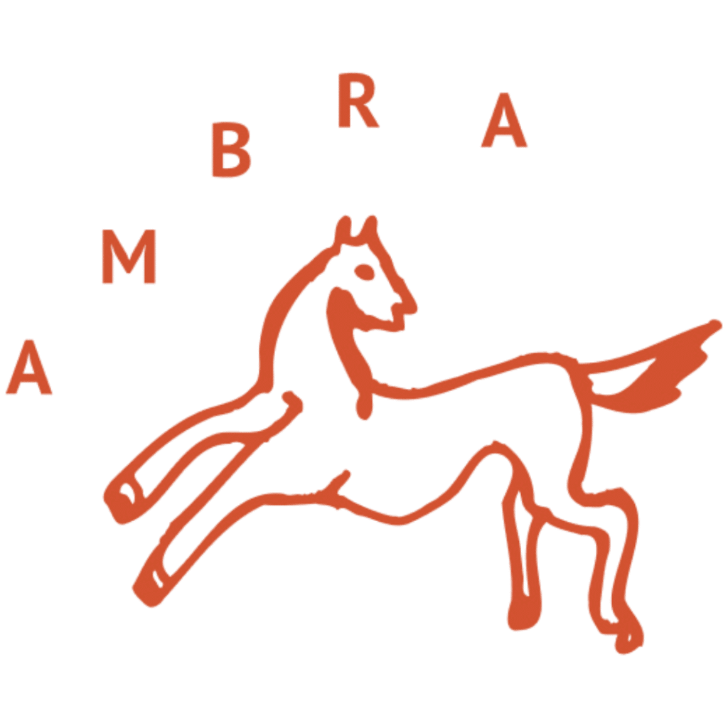 ambra logo